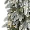7.5ft. Pre-Lit Flocked Washington Alpine Artificial Christmas Tree, Warm White LED Lights